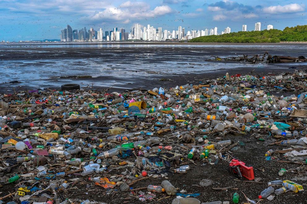 PHOTO: Garbage, including plastic waste, is seen at the beach of the Costa del Este neighborhood in Panama City, Panama, June 8, 2020.