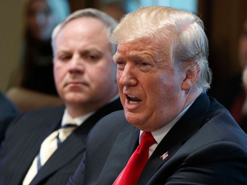 PHOTO: President Donald Trump speaks during a cabinet meeting at the White House in Washington.