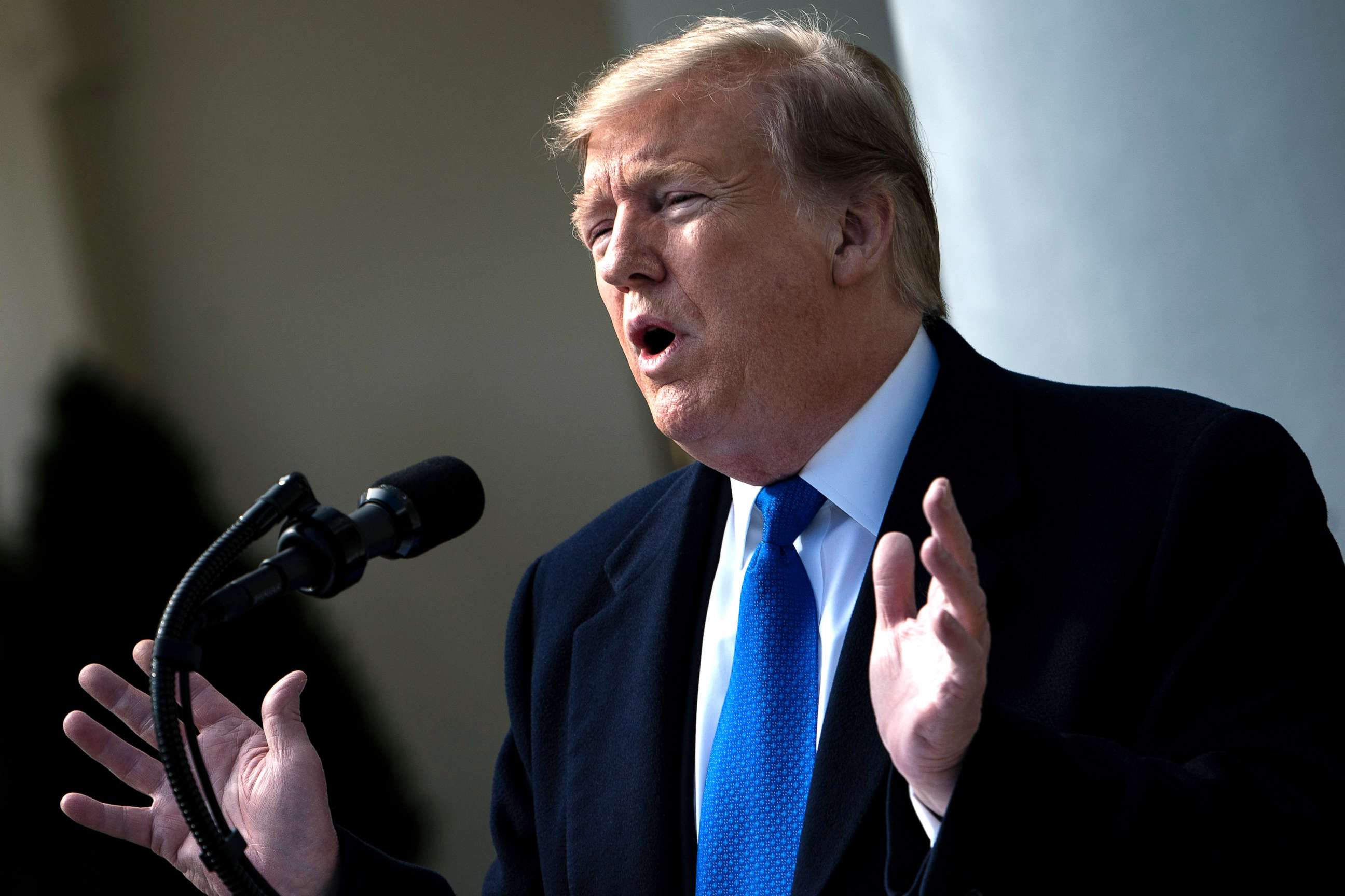 PHOTO: President Donald Trump speaks about a state of emergency from the Rose Garden of the White House, Feb. 15, 2019, in Washington, D.C.