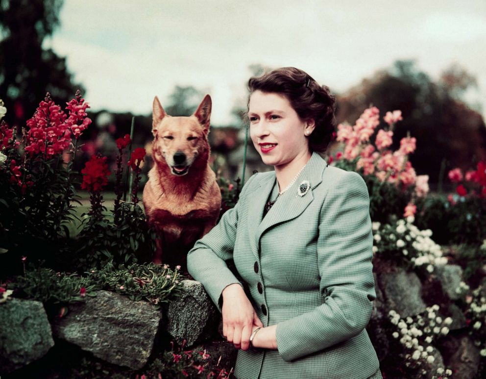 PHOTO: Queen Elizabeth II poses with one of her Corgis at Balmoral Castle, Sept. 28, 1952.