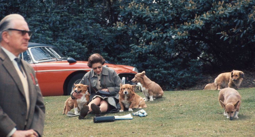 PHOTO: Queen Elizabeth takes a break from watching the Royal Windsor Horse Show, in which her husband Prince Philip is participating, May 12, 1973, in Virginia Water, England.