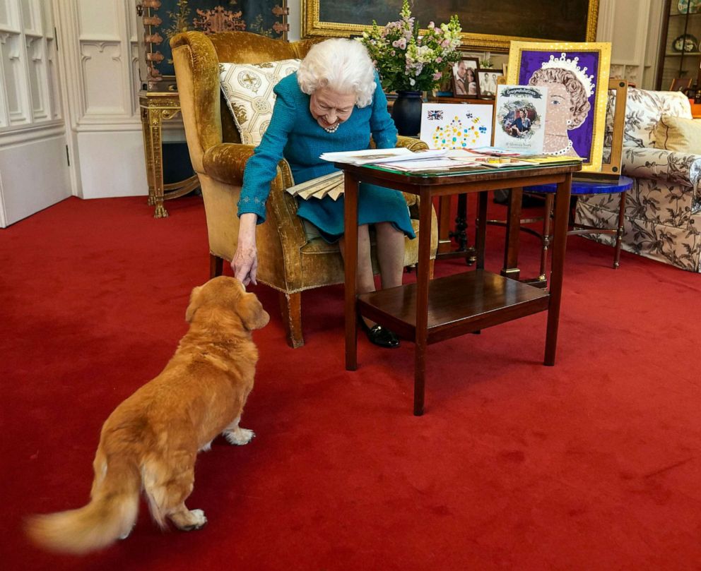 PHOTO: Queen Elizabeth II is joined by one of her dogs, a dorgi called Candy, in the Oak Room at Windsor Castle, Feb. 4, 2022, in Windsor, England.