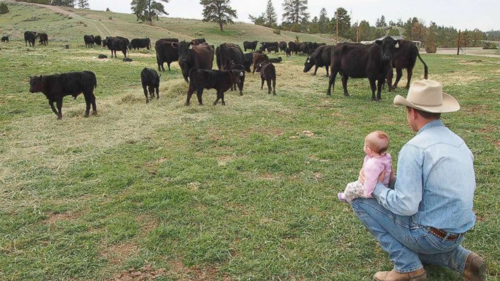 Jess Peterson looks out with his daughter at his cattle ranch east of Billings, Montana.