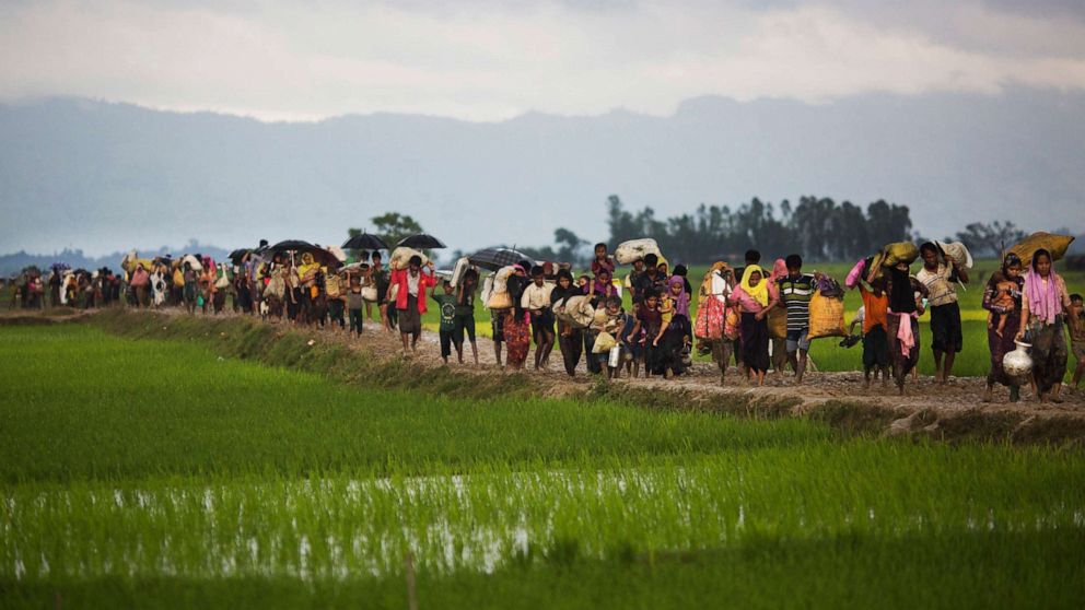 PHOTO: Members of Myanmar's Rohingya ethnic minority walk past rice fields after crossing the border into Bangladesh, Sept. 1, 2017.