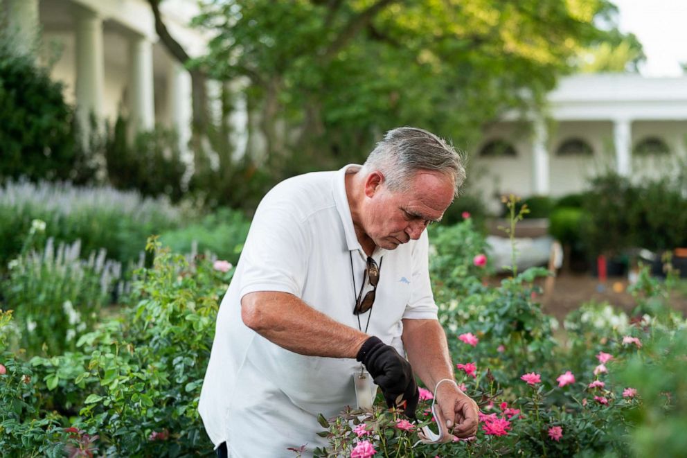 First lady Melania Trump unveils White House Rose Garden ...