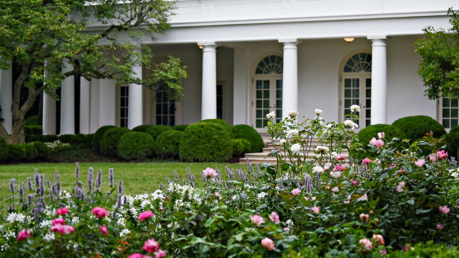 First lady Melania Trump unveils White House Rose Garden restoration - ABC News