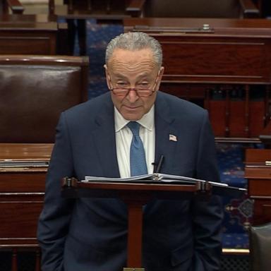 Majority Leader Chuck Schumer raised concerns about growing antisemitism in the U.S. and the “deep fear” Jewish people experience today on the Senate floor Wednesday.