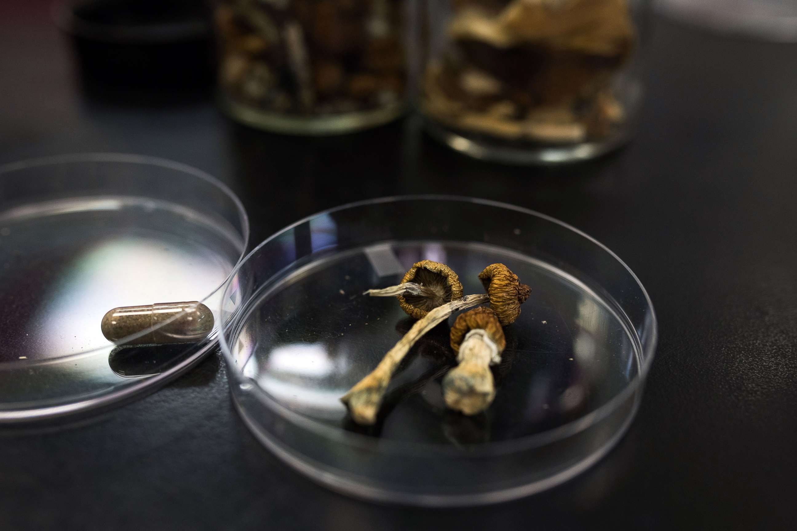 Where Can You (Legally) Buy Magic Mushrooms?