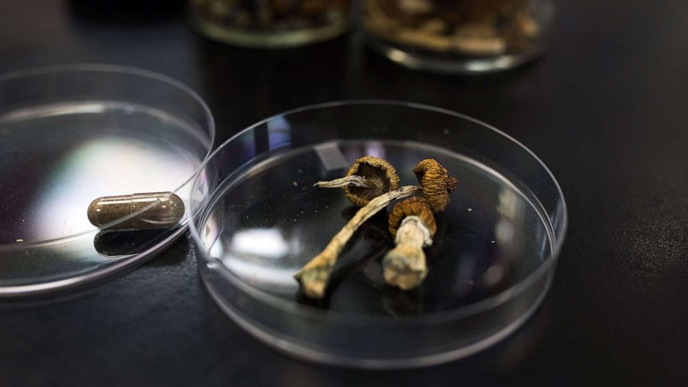 PHOTO: A container of Psilocybe mushrooms, right, alongside the final product in pill form at the Numinus Bioscience lab in Nanaimo, British Columbia, Canada,, Sept. 1, 2021. 