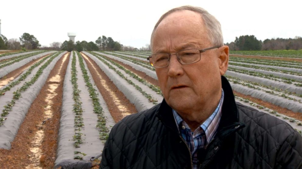 PHOTO: Bill Brim says farmers in Georgia can't access loans and other services during the government shutdown.