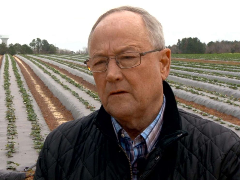 PHOTO: Bill Brim says farmers in Georgia cant access loans and other services during the government shutdown.