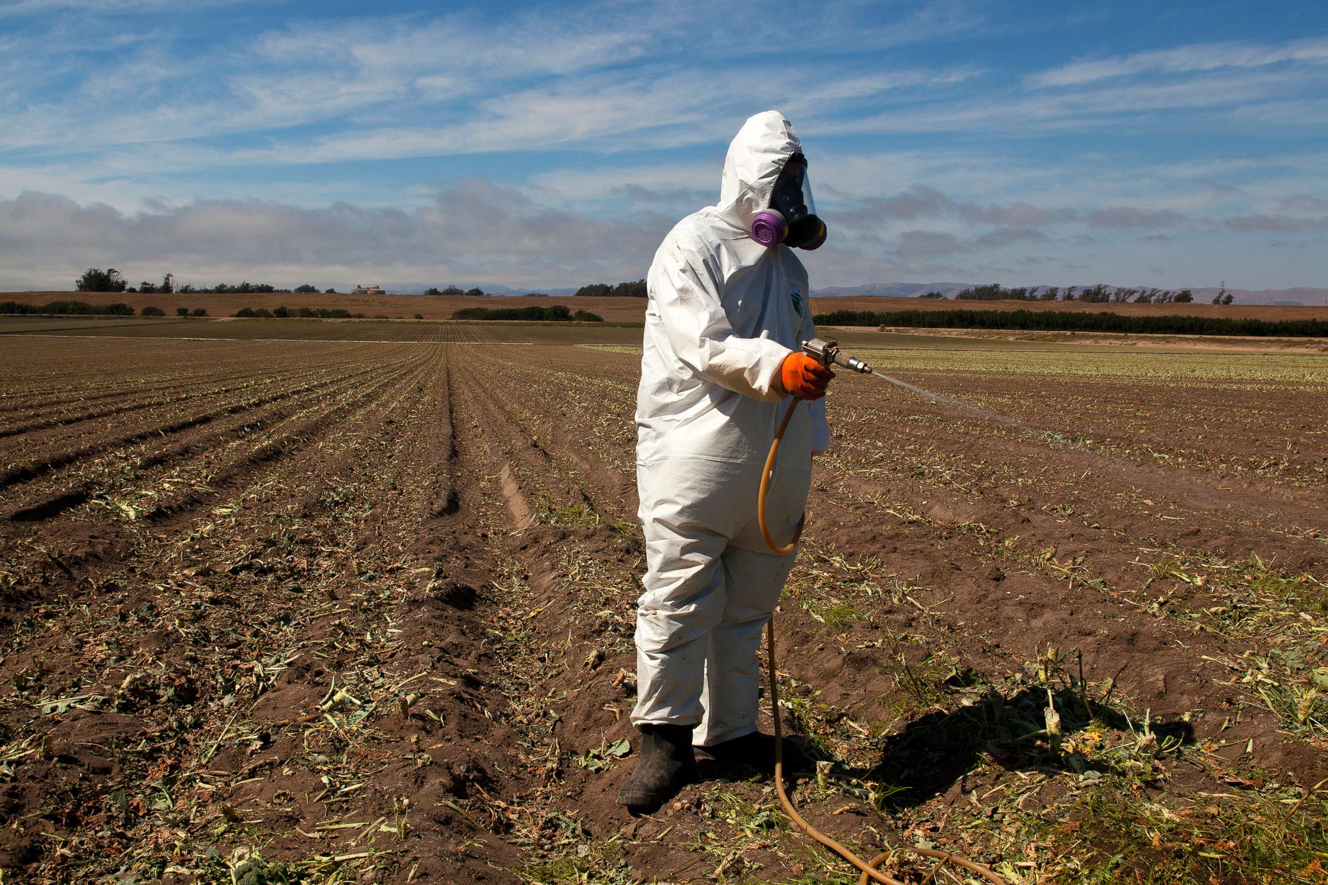 PHOTO: A worker on a farm wears a Tyvek chemical protective suit as he sprays a field with a herbicide after the broccoli harvest, July 25, 2013. 