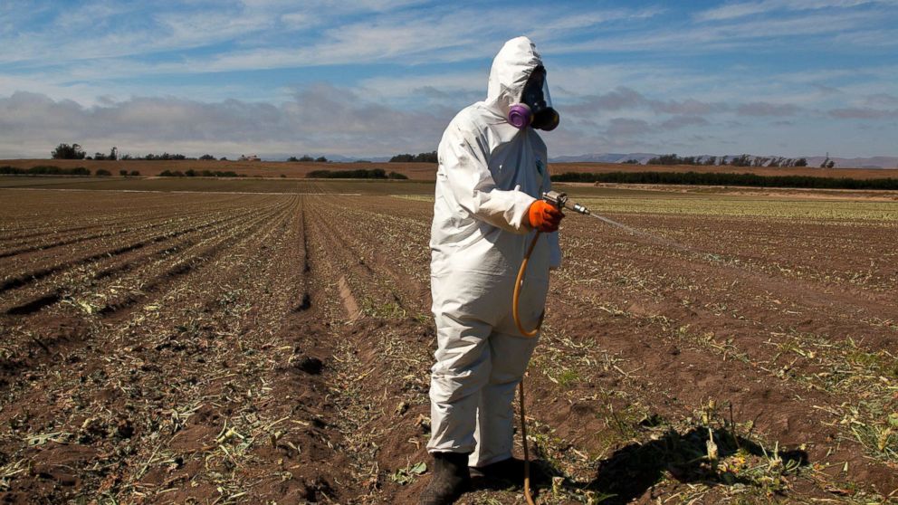 PHOTO: A worker on a farm wears a Tyvek chemical protective suit as he sprays a field with a herbicide after the broccoli harvest, July 25, 2013.