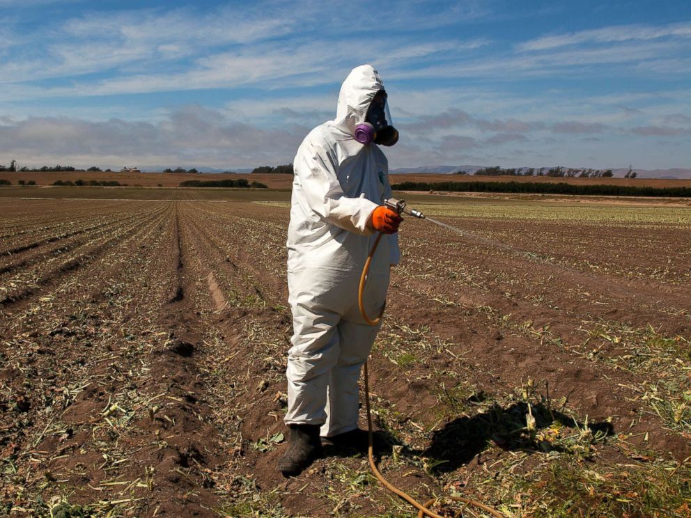 PHOTO: A worker on a farm wears a Tyvek chemical protective suit as he sprays a field with a herbicide after the broccoli harvest, July 25, 2013.