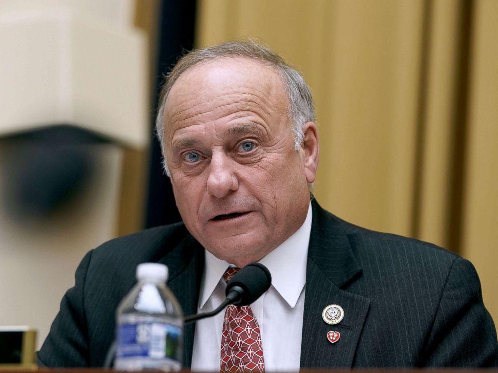   PHOTO: Representative Steve King speaks at a hearing before the Judiciary Committee of the House on December 11, 2018 in Washington, DC 