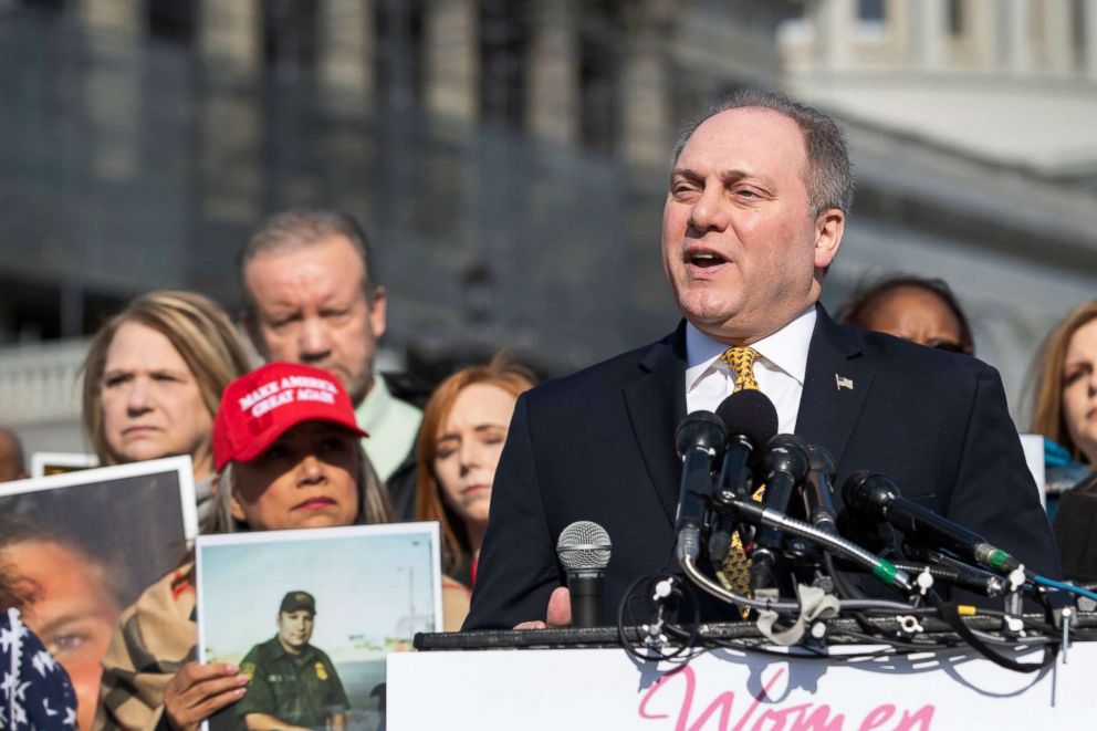 PHOTO: Rep. Steve Scalise speaks at a press conference with a group that supports the building of a border wall, in Washington, Feb. 13, 2019.