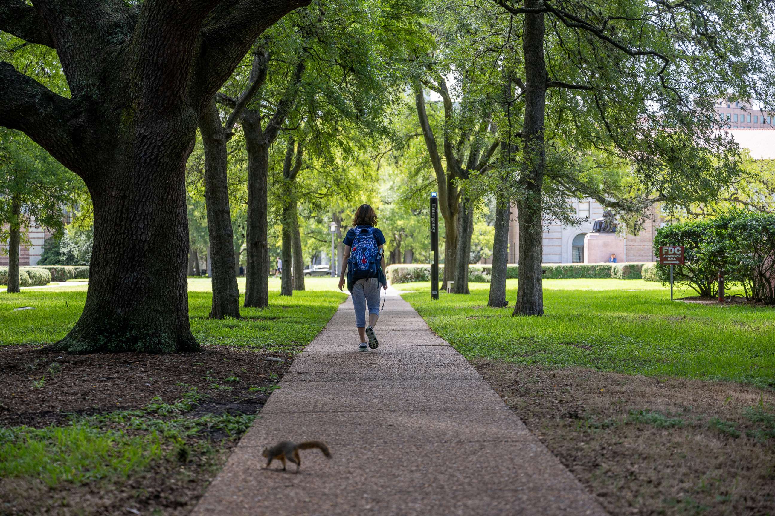 PHOTO: A student walks to class at Rice University in Houston, Aug. 29, 2022. 