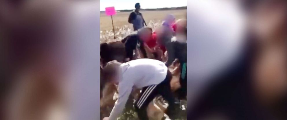 PHOTO: Parents of fifth-grade students are outraged after their children picked cotton and sang songs as part of a school district field trip in South Carolina.