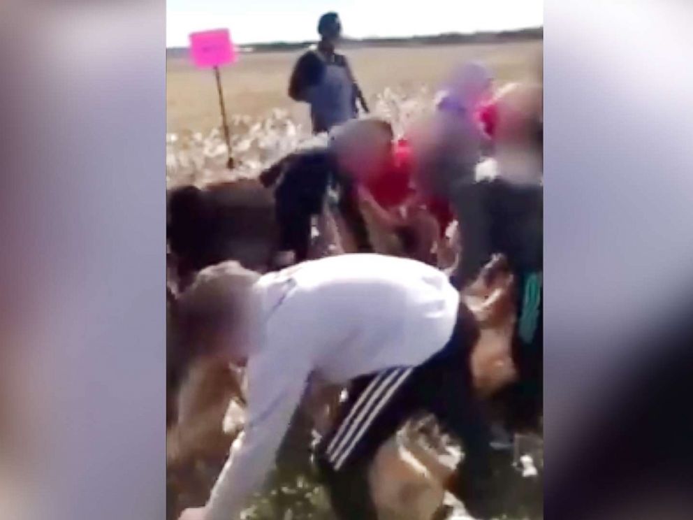 PHOTO: Parents of fifth-grade students are outraged after their children picked cotton and sang songs as part of a school district field trip in South Carolina.