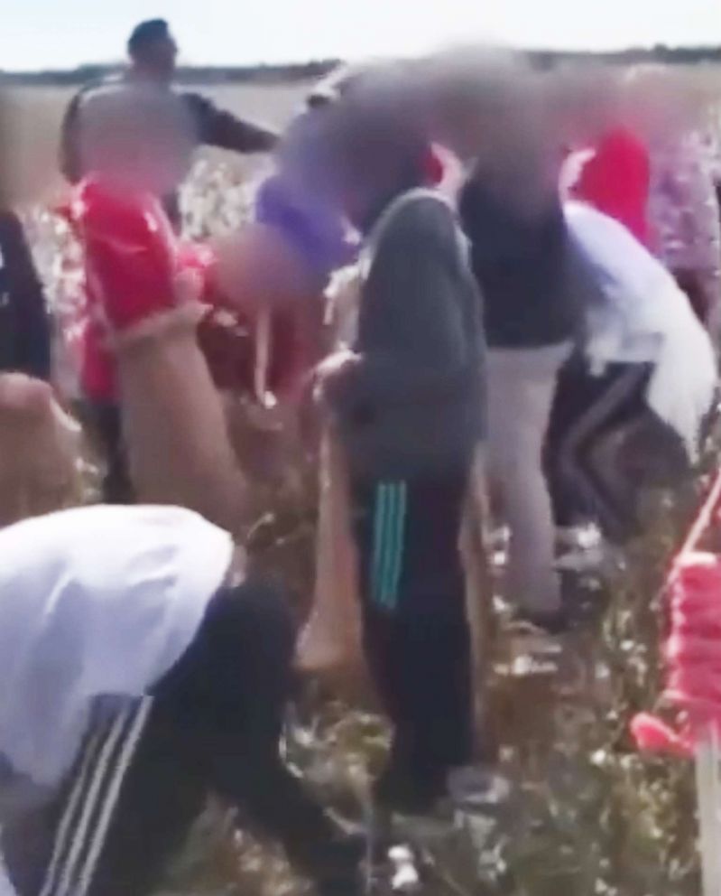 PHOTO: Parents of fifth-grade students are outraged after their children picked cotton and sang songs as part of a school district field trip in South Carolina.