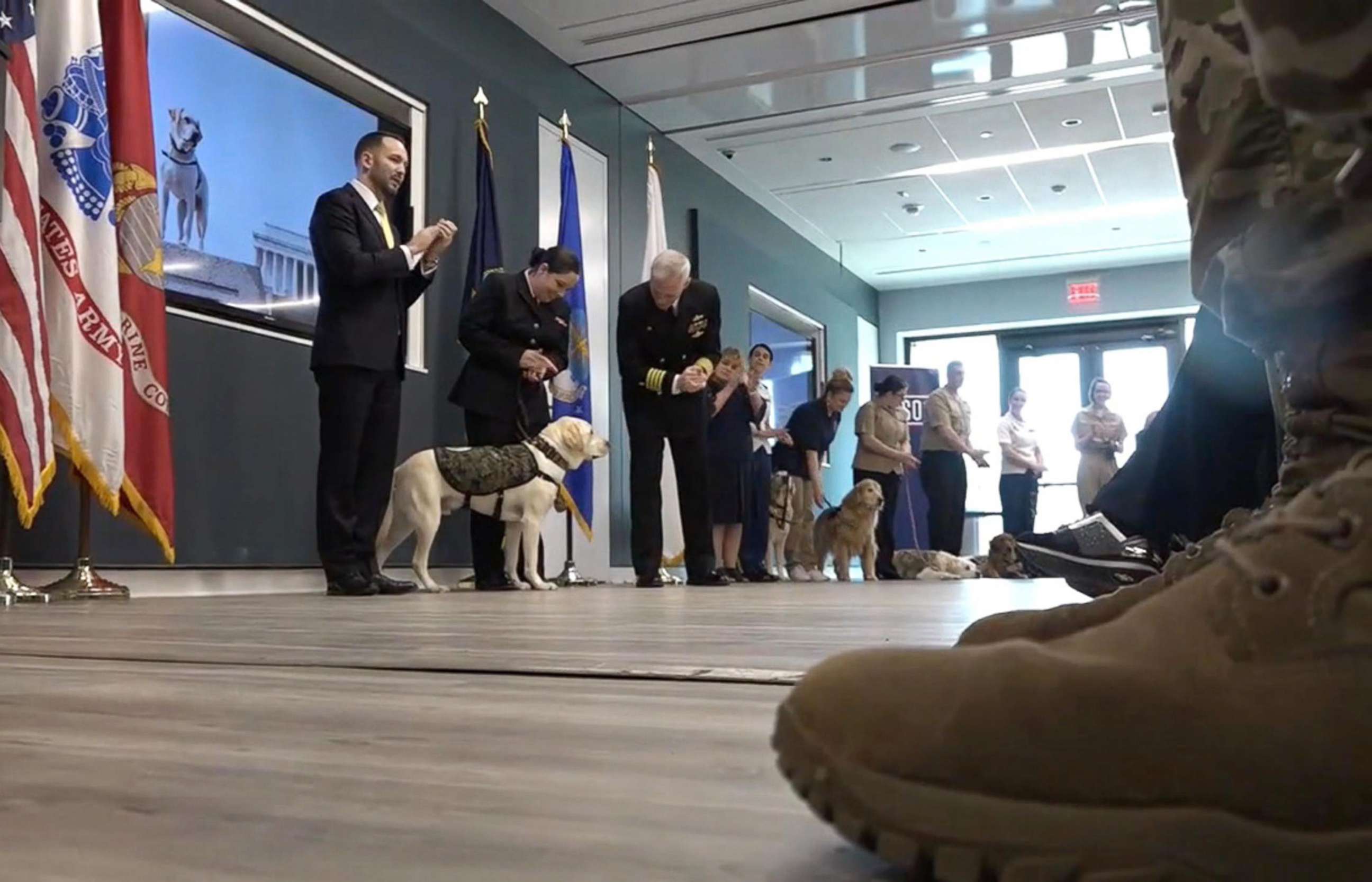 PHOTO: Former President George H. W. Bush's service dog, Sully, participates in an enlistment ceremony, joining the therapeutic dogs at Walter Reed National Military Medical Center in Bethesda, Md., Feb. 27, 2019.