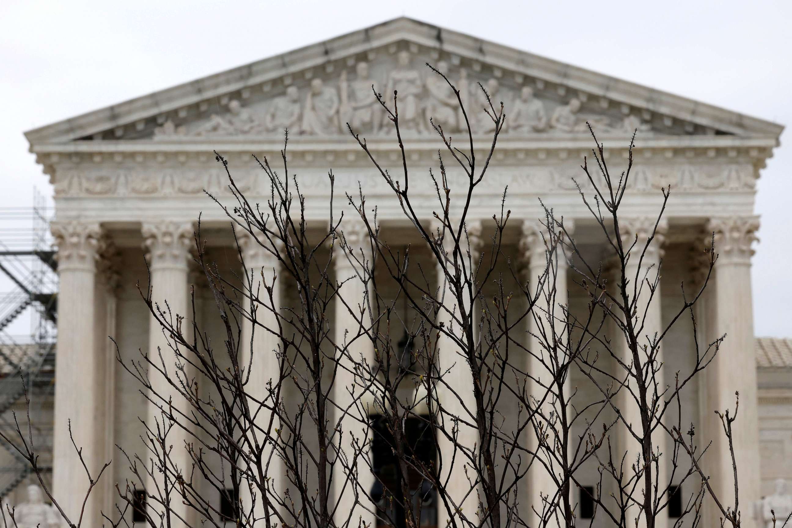 PHOTO: Branches slightly obscure the facade of the U.S. Supreme Court building April 07, 2023 in Washington, DC.