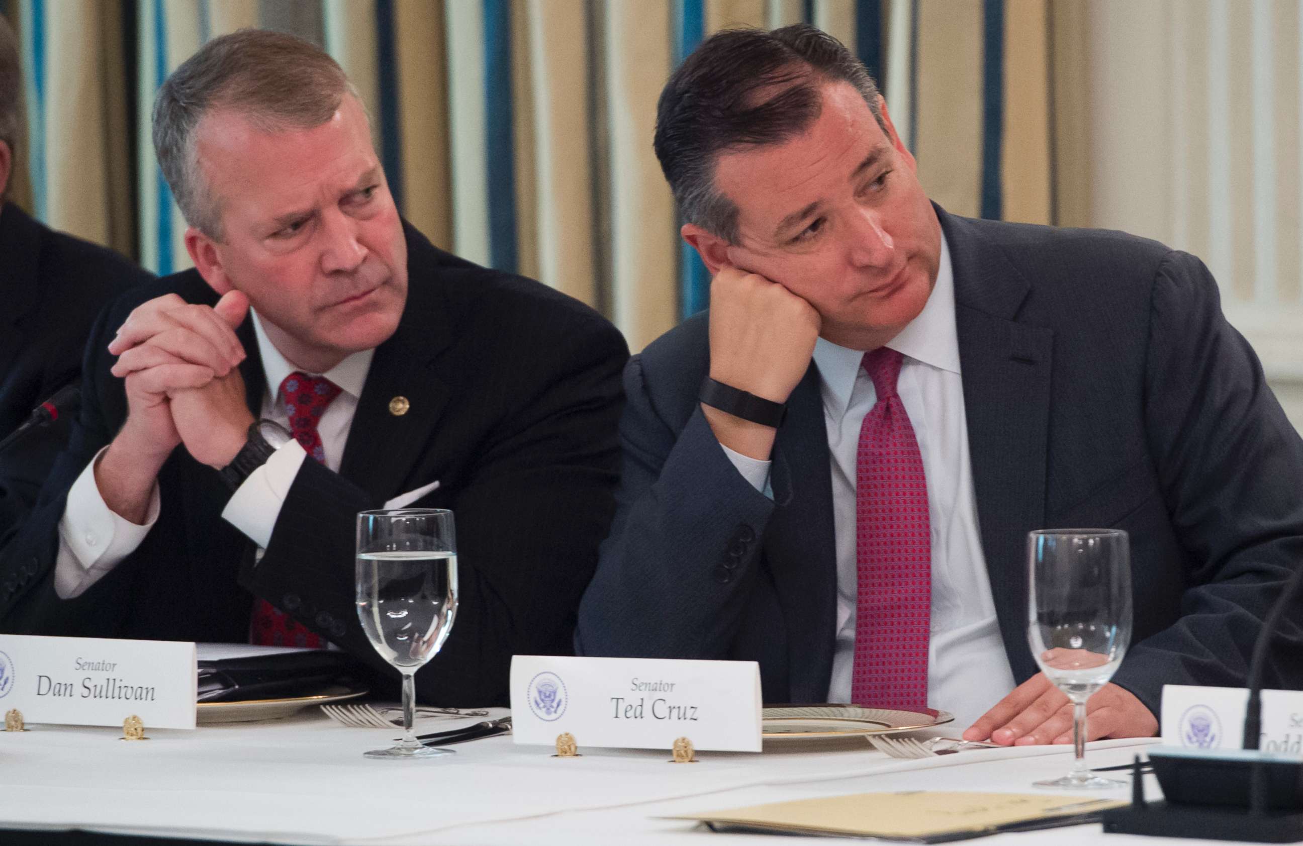 PHOTO: Senators Ted Cruz and Dan Sullivan listen as President Donald Trump speaks during a meeting with Republican Senators to discuss the health care bill in the State Dining Room of the White House in Washington, July 19, 2017.