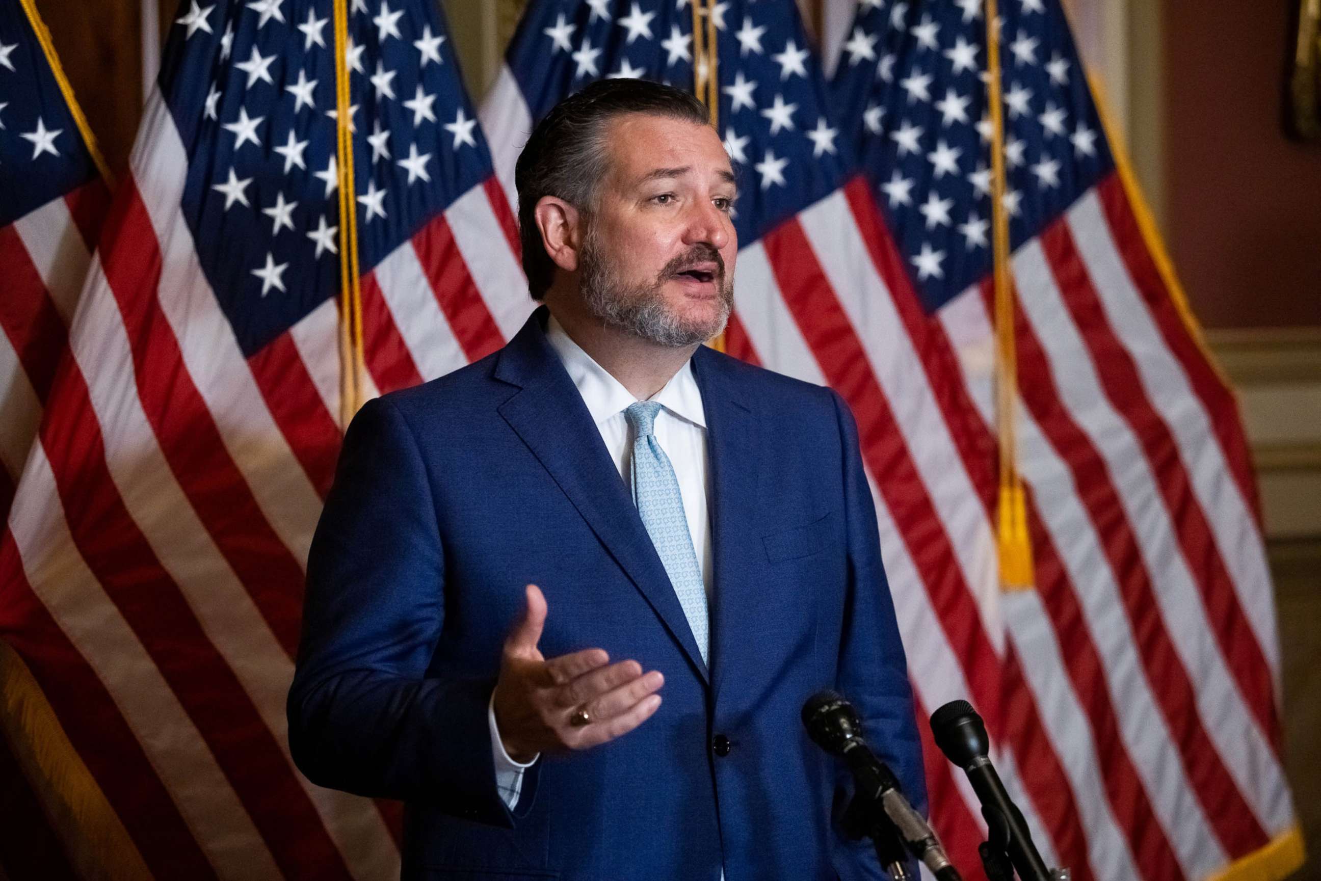 PHOTO: Senator Ted Cruz speaks during a news conference on Capitol Hill, in Washington, D.C., Oct. 26, 2020.