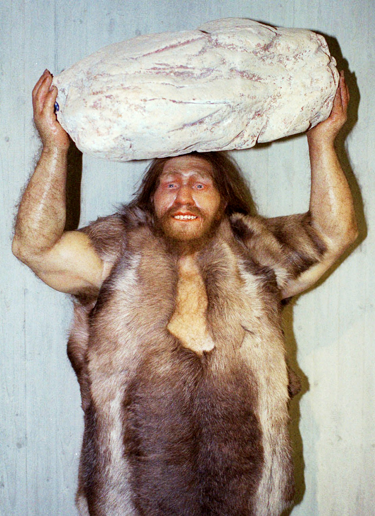 PHOTO: FILE - A replica of a Neanderthal man is displayed at the Neanderthal museum in Mettmann, western Germany, Oct. 1996.