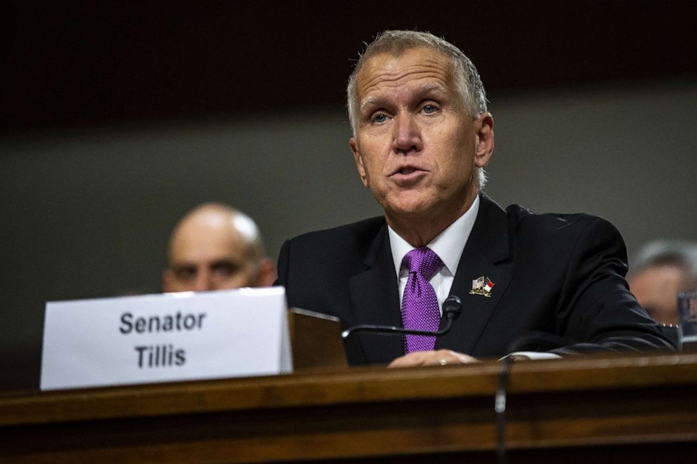 PHOTO: n. Thom Tillis, R-N.C., speaks during a hearing on Capitol Hill, in Washington, June 27, 2018.