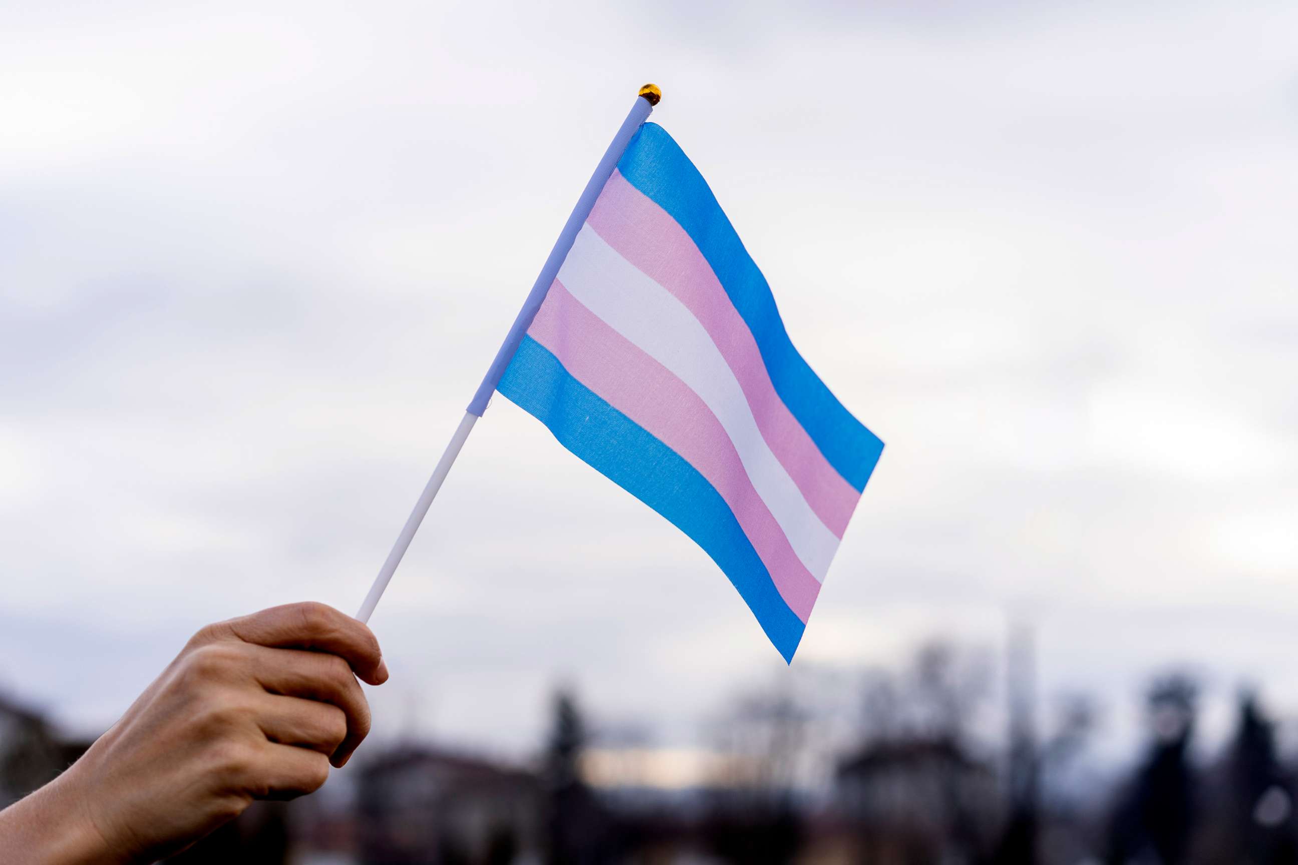 PHOTO: Trans flag