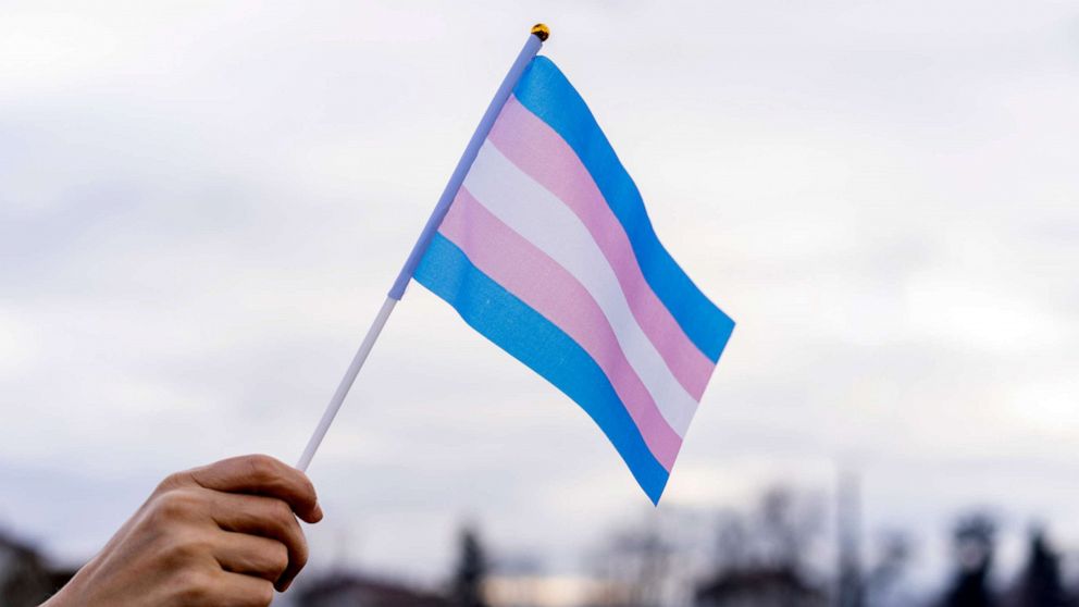PHOTO: Trans flag