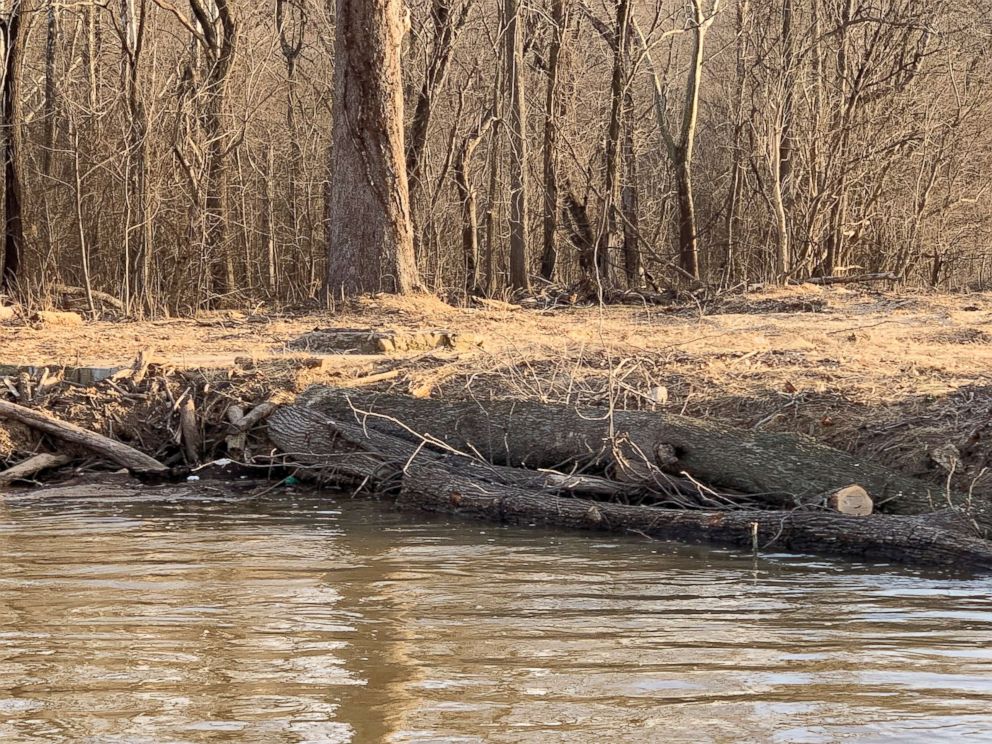 PHOTO: Photos provided by Potomac Riverkeeper Network show trees cleared from a riverbank near Trump National Golf Course in Virginia.