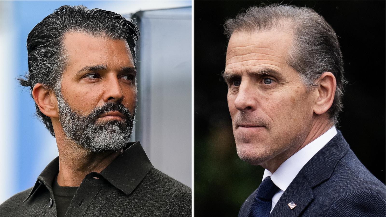 GOP senator calls for Judiciary Committee to subpoena Donald Trump Jr., Hunter Biden