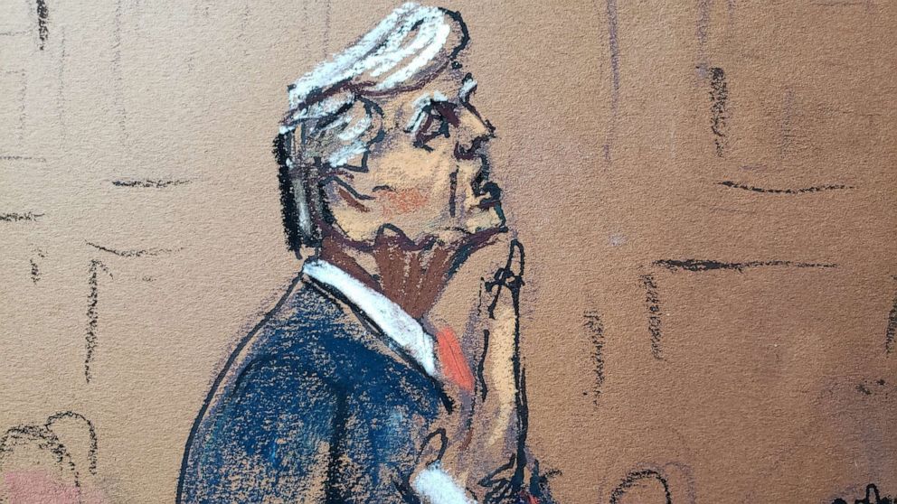 PHOTO: Former President Trump takes an oath before Magistrate Judge Upadhyaya during his plea hearing on charges that he orchestrated a plot to try to overturn his 2020 election loss, at federal court in Washington, Aug. 3, 2023 in a courtroom sketch.
