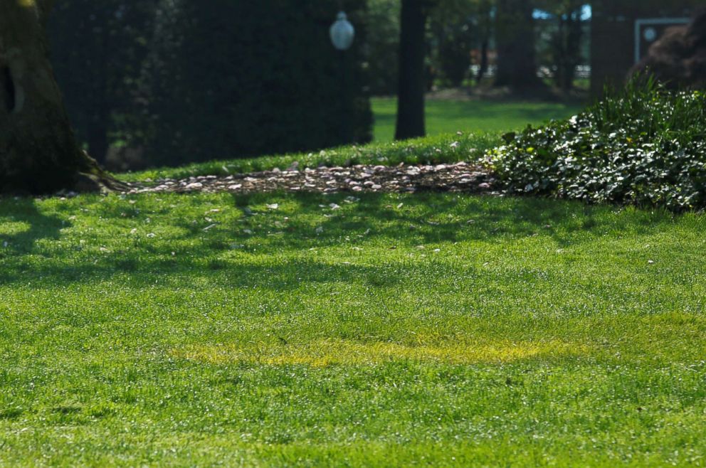 PHOTO: A yellow spot is seen where the tree planted by French President Emmanuel Macron and President Donald Trump on April 23 stood on the South Lawn of the White House in Washington, D.C., April 28, 2018.