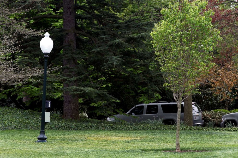 PHOTO: A yellow spot is seen where the tree planted by French President Emmanuel Macron and President Donald Trump on April 23 stood on the South Lawn of the White House in Washington, D.C., April 28, 2018.