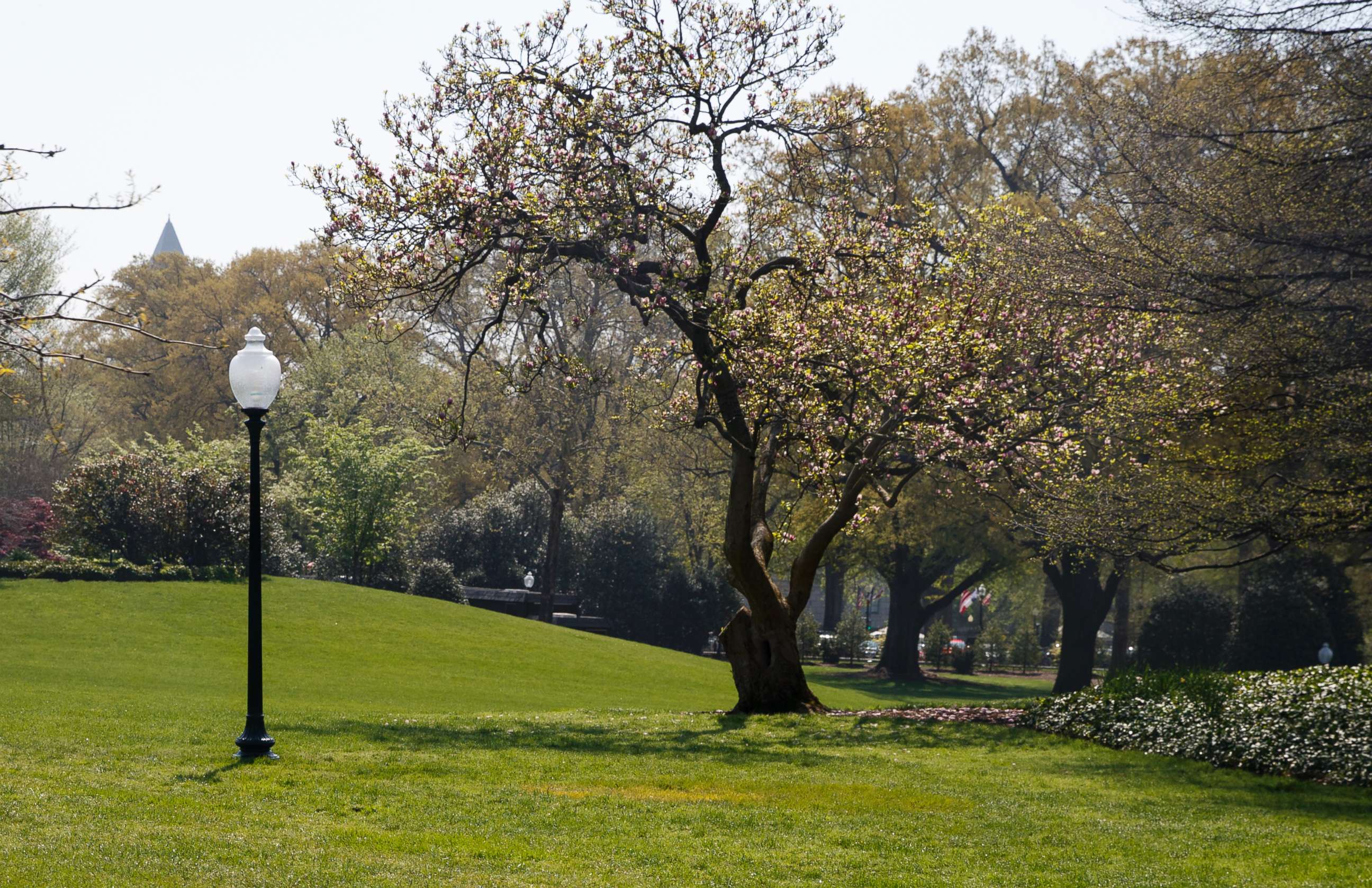 PHOTO: An empty area where a tree was planted by President Donald Trump and French President Emmanuel Macron during a tree planting ceremony is seen through the media van window on the South Lawn of the White House in Washington, D.C., April 28, 2018. 