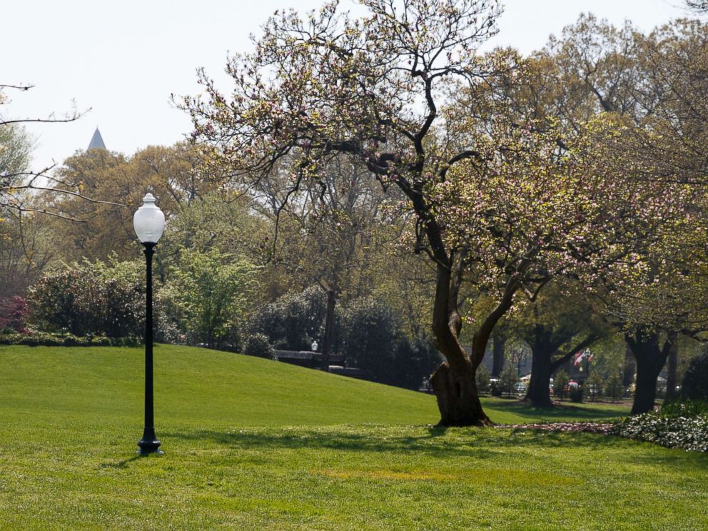 PHOTO: An empty area where a tree was planted by President Donald Trump and French President Emmanuel Macron during a tree planting ceremony is seen through the media van window on the South Lawn of the White House in Washington, D.C., April 28, 2018.
