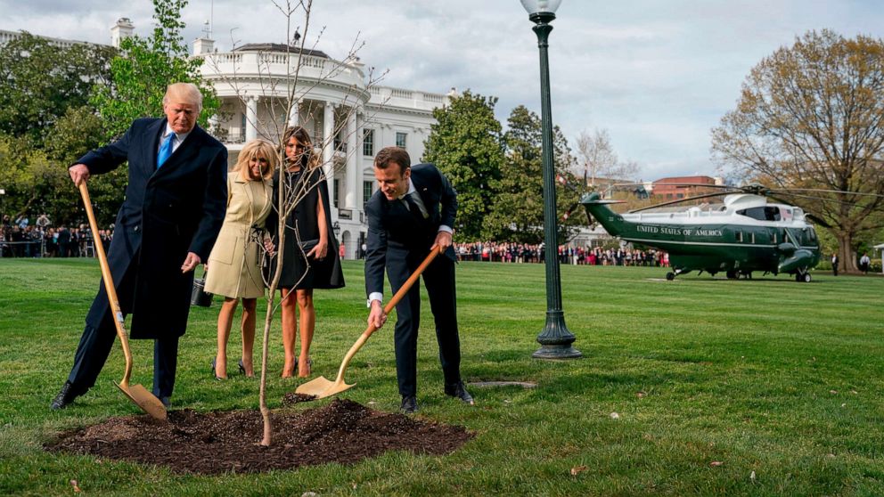 Tree planted at White House by Presidents Donald Trump and Emmanuel ...
