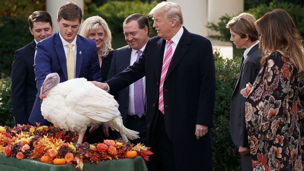 PHOTO: President Donald Trump pardons the National Thanksgiving Turkey in the Rose Garden at the White House, Nov. 21, 2017 in Washington.
