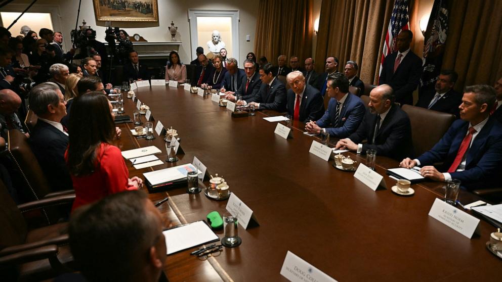 PHOTO: President Donald Trump speaks during a cabinet meeting at the White House in Washington, DC, on Feb. 26, 2025.