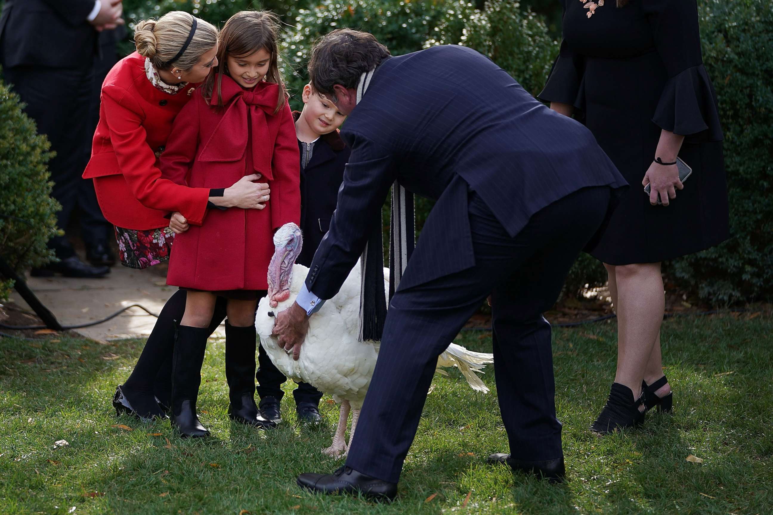 PHOTO: Ivanka Trump and her children, Arabella and Joseph Kushner, take a close look at 'Drumstick,' the National Thanksgiving Turkey before his pardoning ceremony in the Rose Garden at the White House, Nov. 21, 2017, in Washington, DC.
