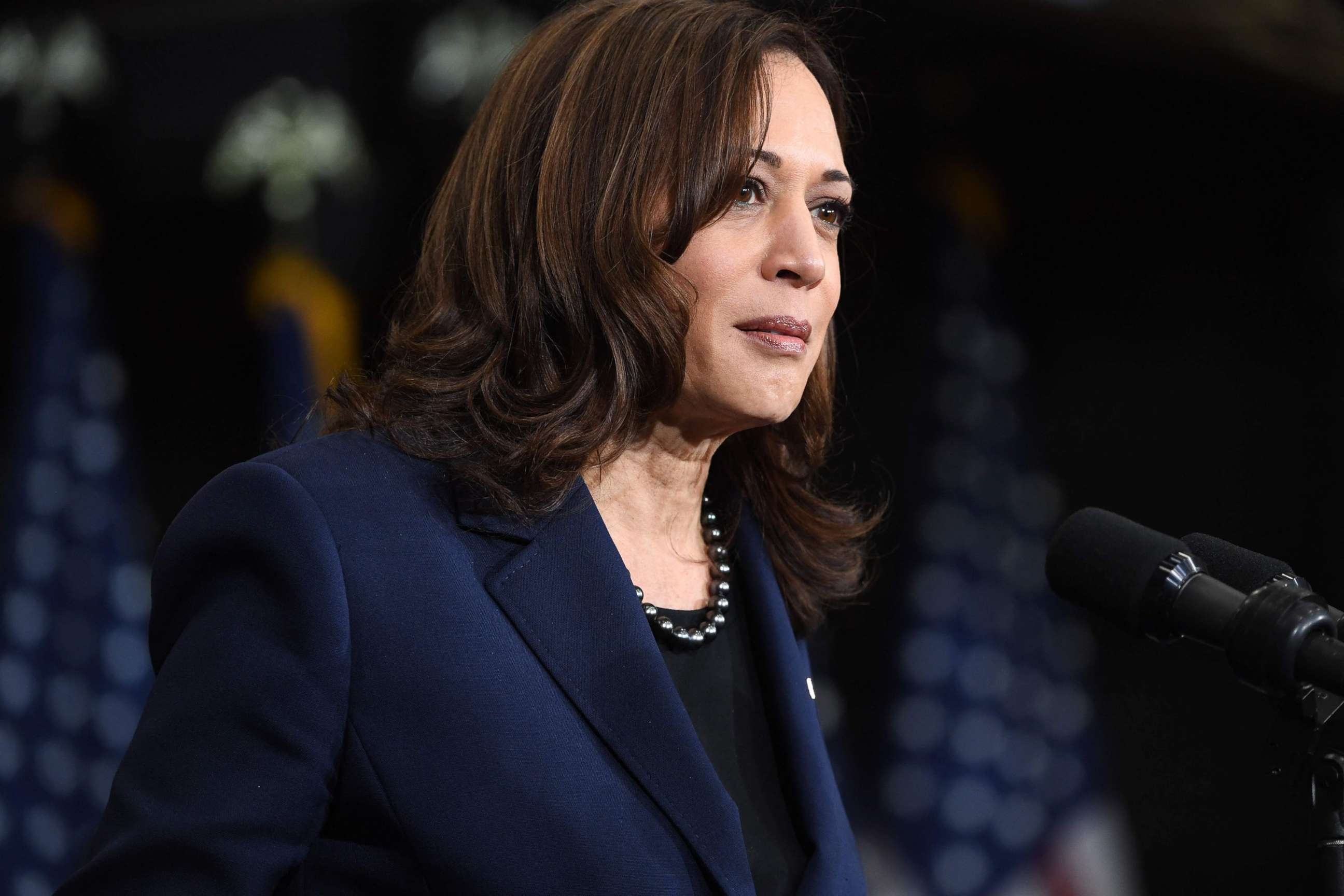 PHOTO: Vice President Kamala Harris speaks in Upper Marlboro, Md., Feb. 4, 2022.