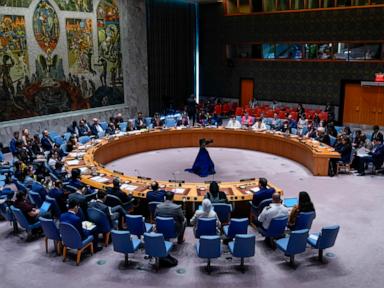 UN Security Council adopts US draft resolution supporting Gaza cease-fire plan