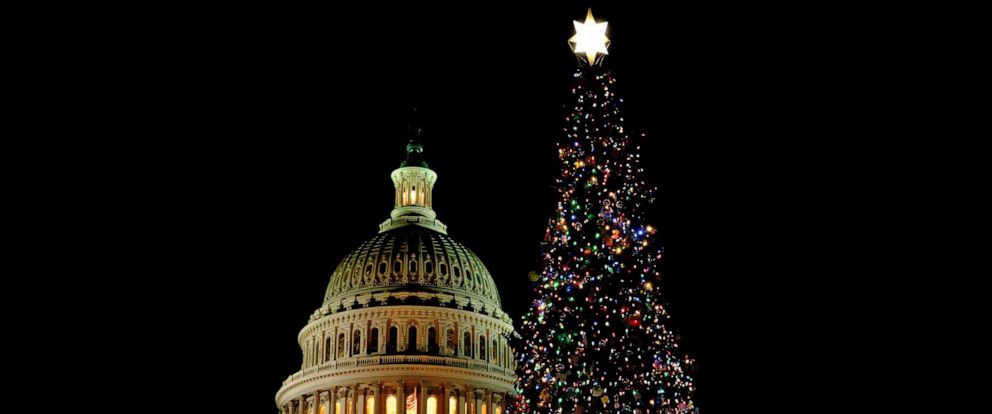 2022 Us Capitol Christmas Tree Us Capitol Christmas Tree Lights Up Washington - Abc News