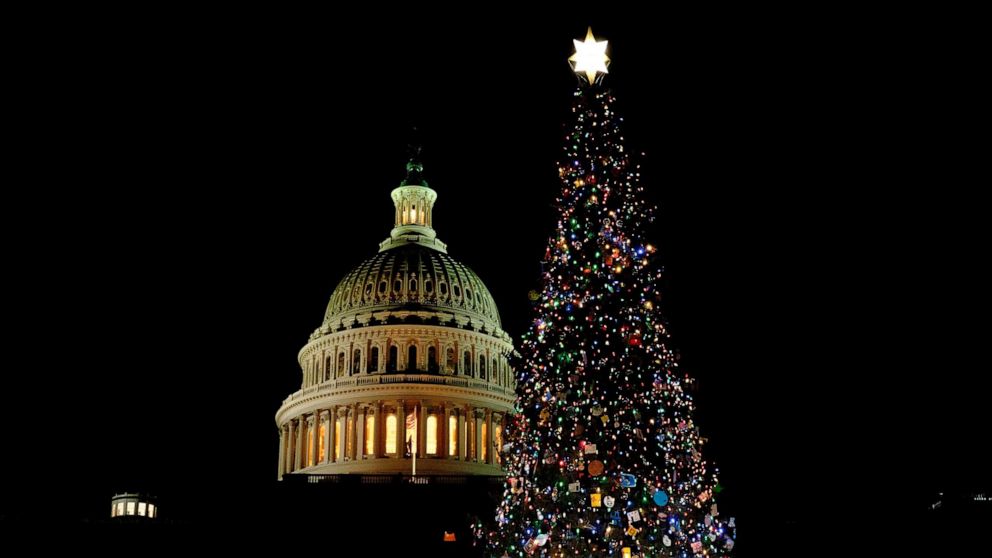 US Capitol Christmas tree lights up Washington ABC7 New York