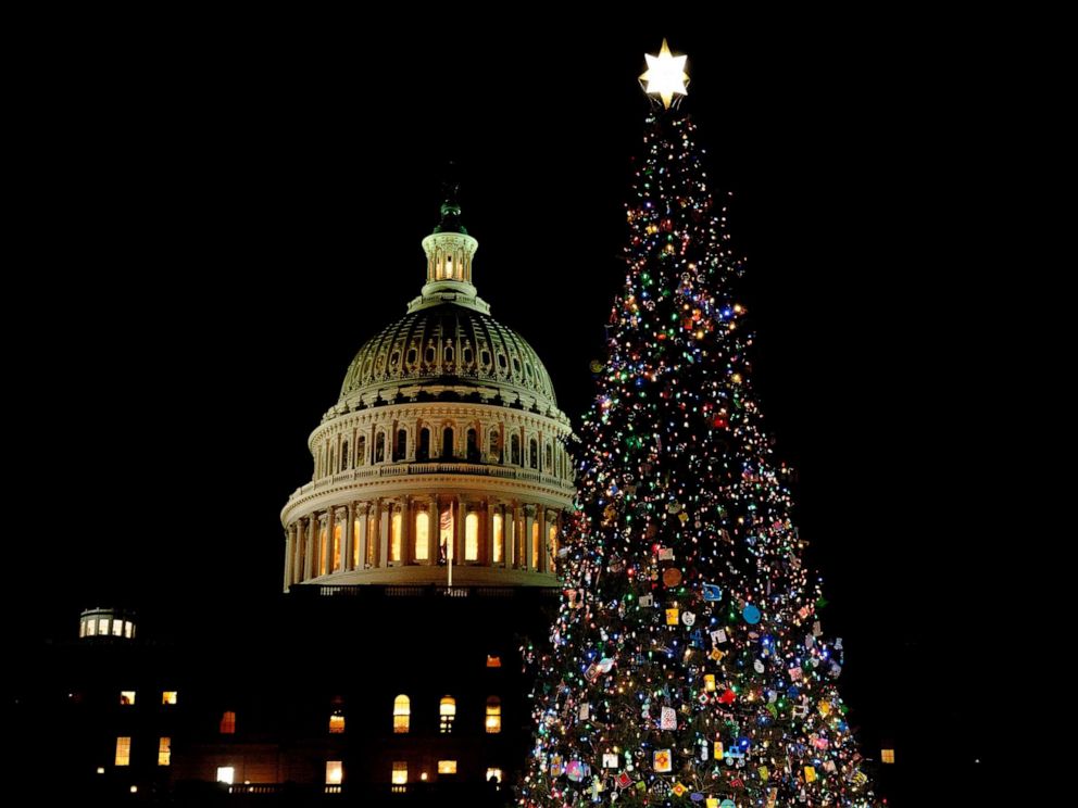 Dc Christmas Tree Pickup 2022 Us Capitol Christmas Tree Lights Up Washington - Abc News