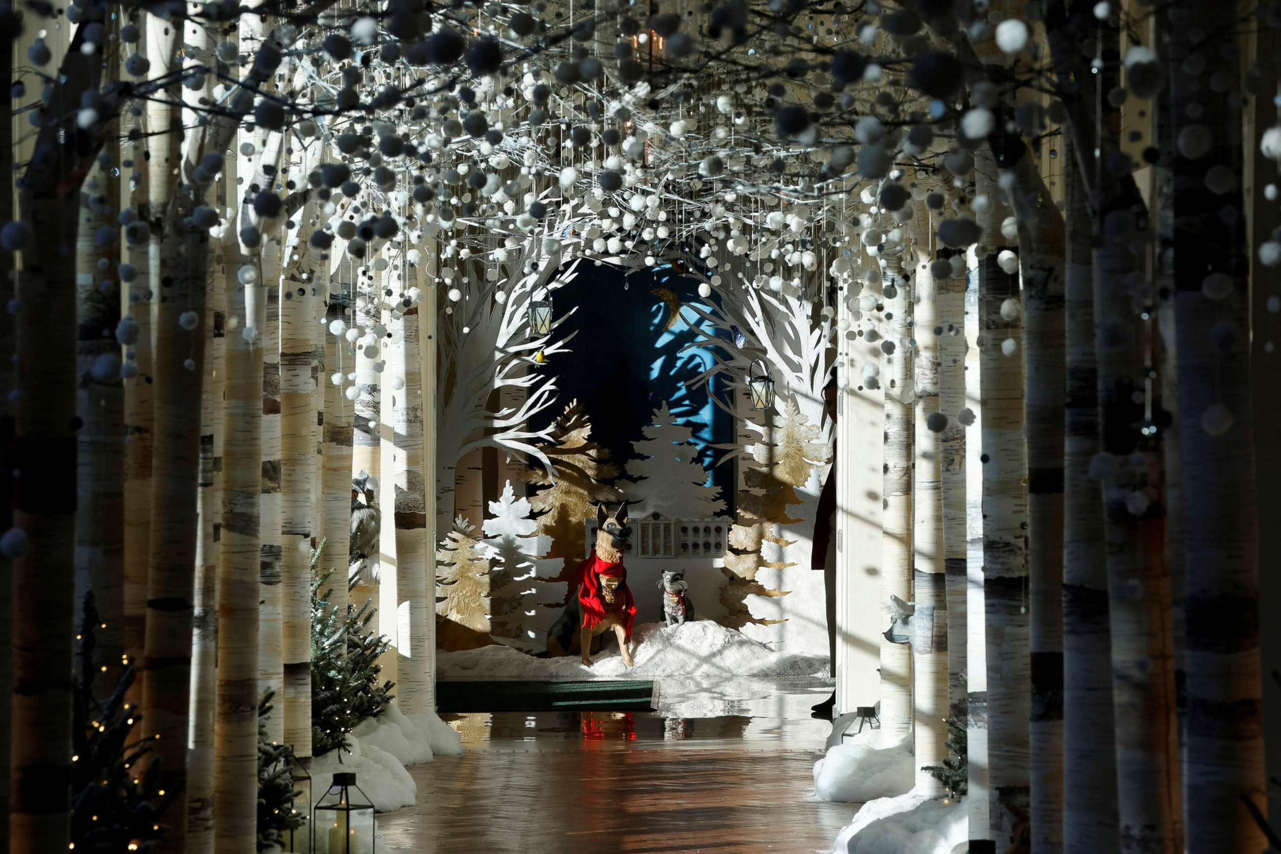 PHOTO: Trees intended to portray a first woodland snowfall line the East Colonnade as Christmas decorations on the theme "We the People" are unveiled at the White House in Washington, D.C., Nov. 28, 2022.