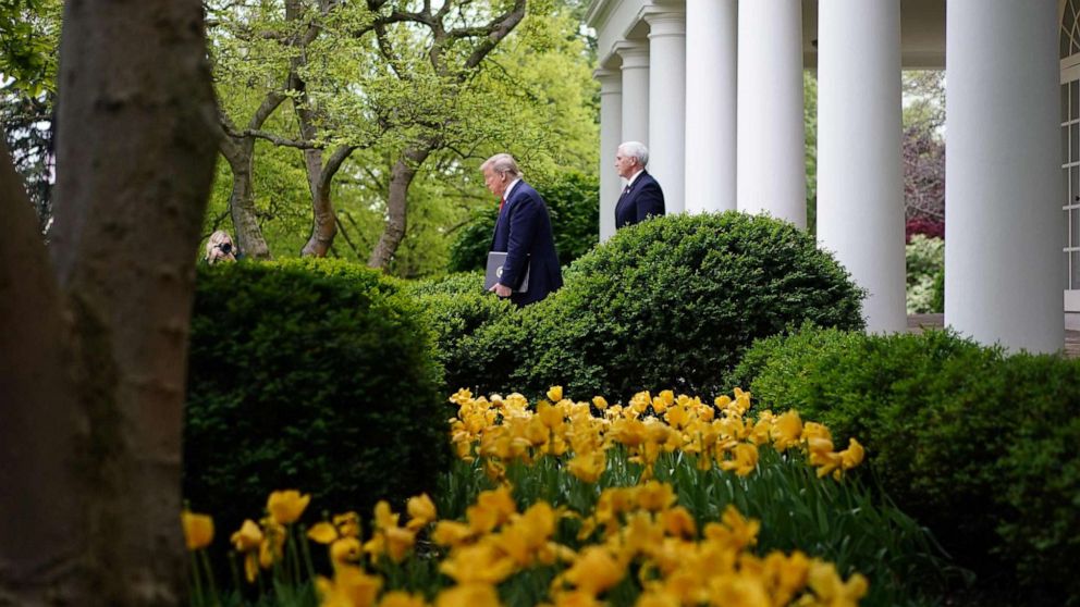 PHOTO: President Donald Trump and Vice President Mike Pence arrive for the daily briefing on the novel coronavirus, which causes COVID-19, in the Rose Garden of the White House in Washington, April 14, 2020.